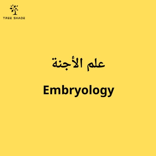 Embryology